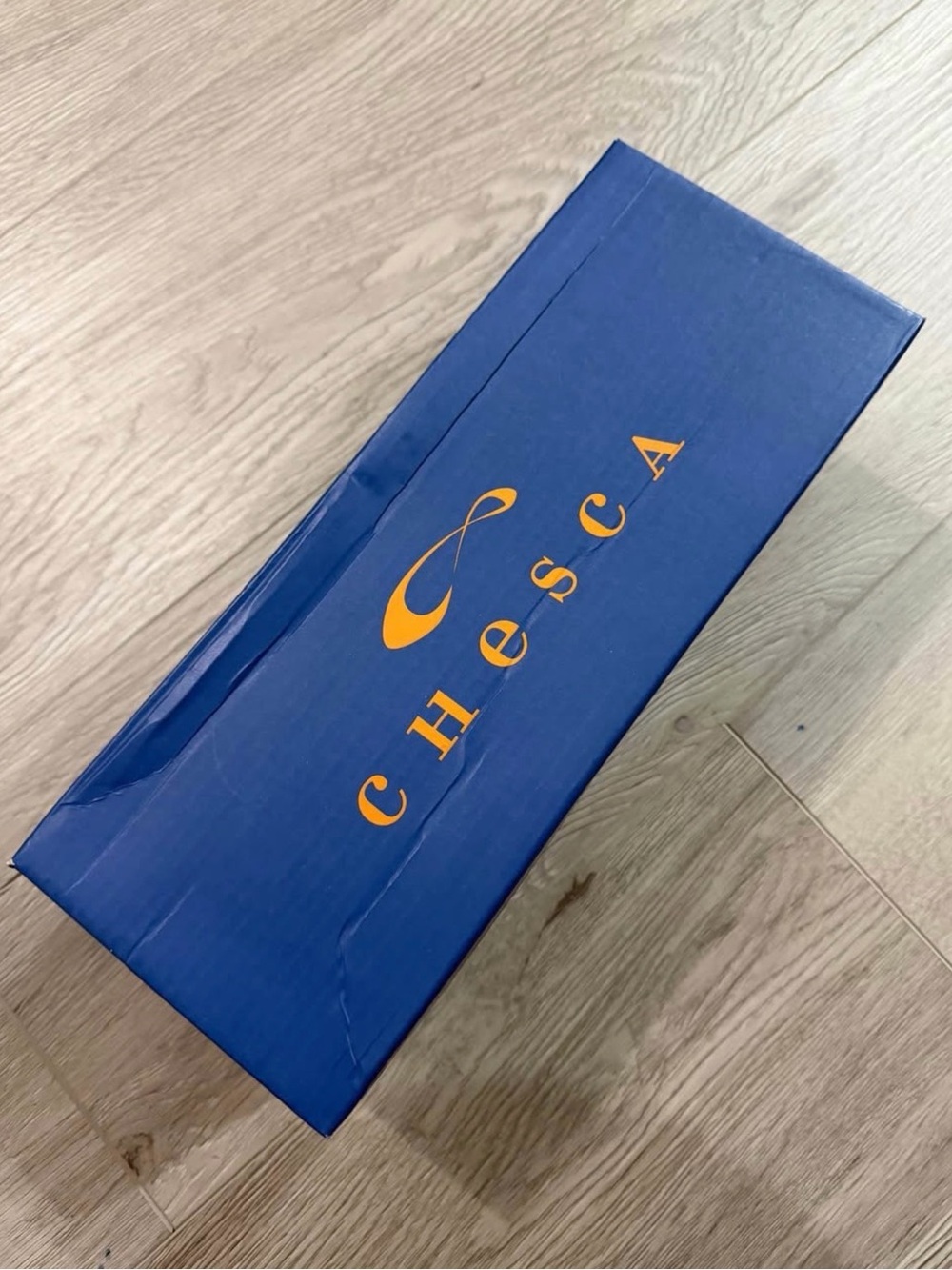 Chesca Women's Heels - Blue with Gold Logo